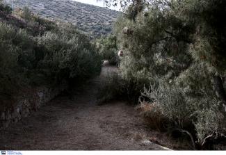 Υμηττος