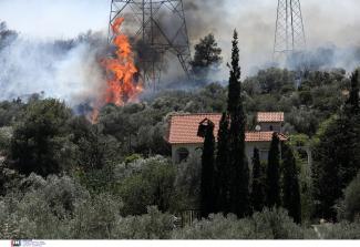ΑΡΤΟΠΟΙΟΣ