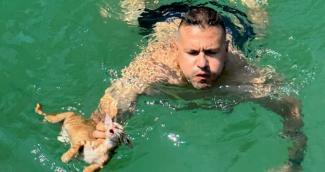 γατάκι