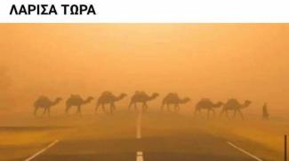 καμήλες