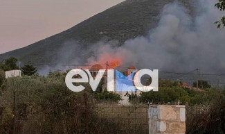 eyboia