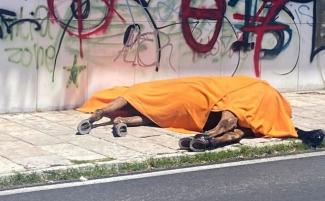 αλογο