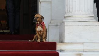 ΠΙΝΑΤ