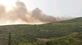 γραμματικο