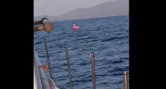 Λιμενικο