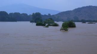 karditsa