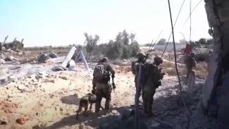 IDF