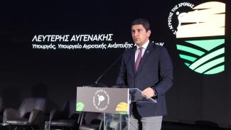 ΑΥΓΕΝΑΚΗΣ