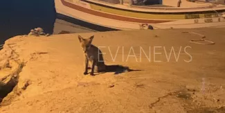 ΕΥΒΟΙΑ