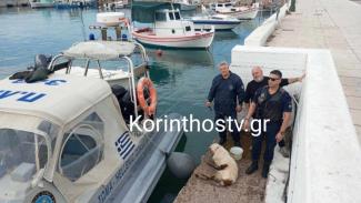 ΚΟΡΙΝΘΟΣ