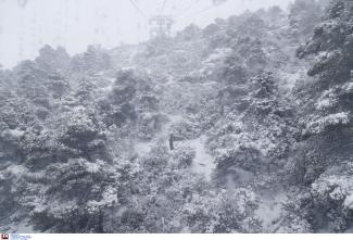 xioni