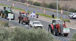 agrotes