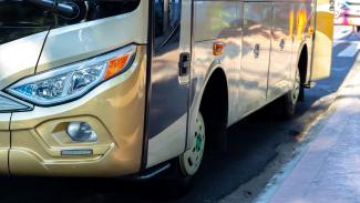 bus