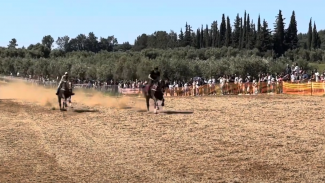 αλογα