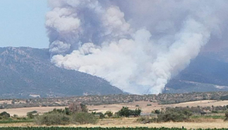 ροδοπη