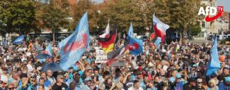 afd