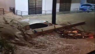 ΡΟΔΟΣ