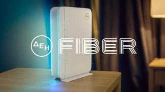 fiber