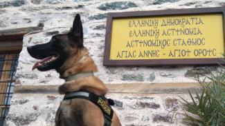 οσκαρ