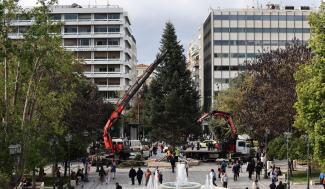 δεντρο