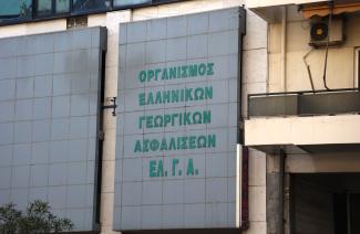 ελγα