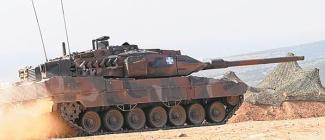 leopard