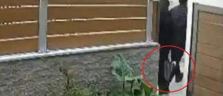 χαιδαρι