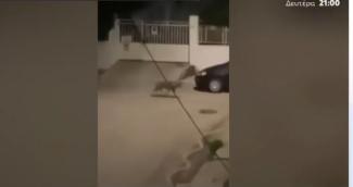 λυκος
