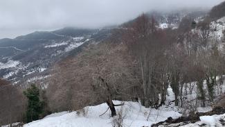 χιονια