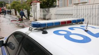 αστυνομια