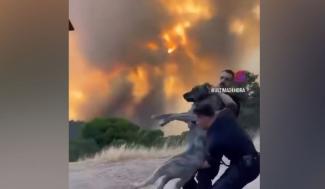 ισπανια
